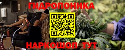 мдпв Кандалакша