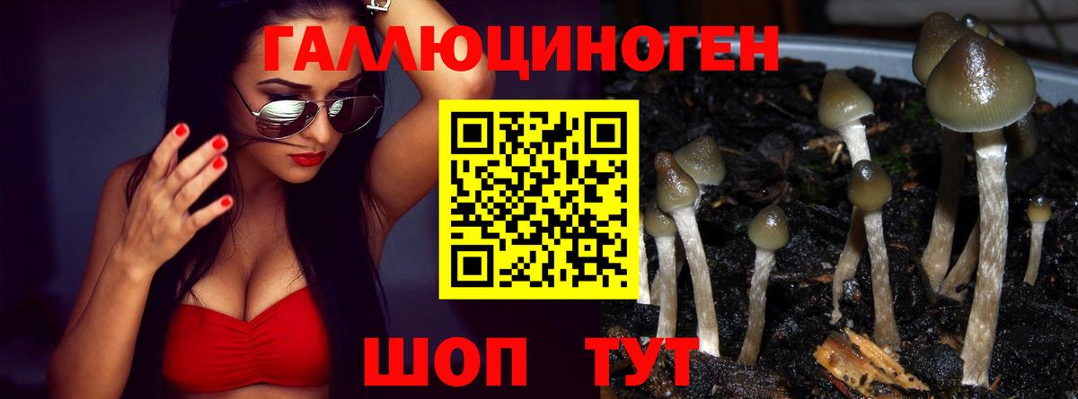 Галлюциногенные грибы GOLDEN TEACHER Армавир